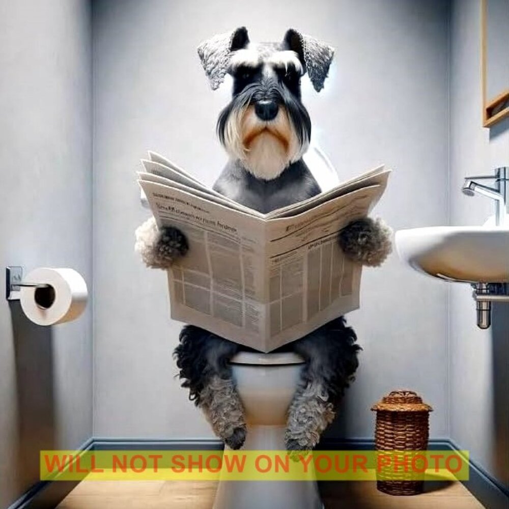 Wall Art Print Humorous Collectible Photograph 8x10 Print, Schnauzer On Potty
